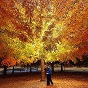 Joseph Stevens's photo