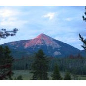 Lauri Romine's photo