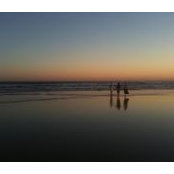 Kate Ferguson's photo