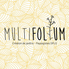 Multifolium