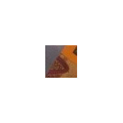 Reagan Stewart's photo