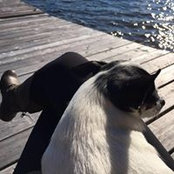 Lindsay Franklin's photo