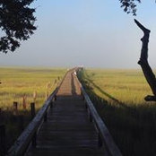 Carlin Catanzaro's photo