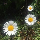Kelly Dempsey's photo
