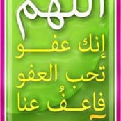 عمرو سامىs foto