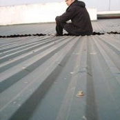Nguyen Nghia's photo