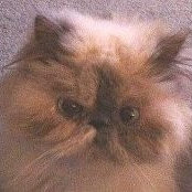 Beverly Litton's photo