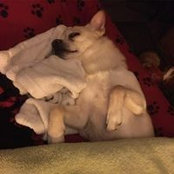 Wendy Gupton Roberts's photo