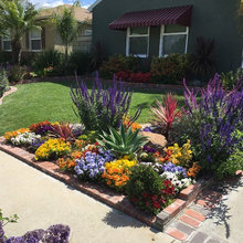 Front Landscaping Plants