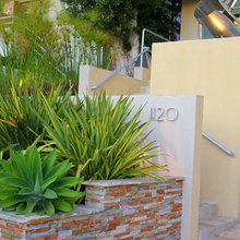 front yard