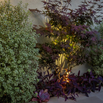 Culver City Residential Retreat