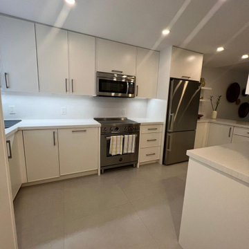 Transitional Kitchen Remodel Done in a Satin White Slim Shaker Door