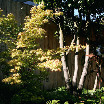 "Calmness and Light in the Secret Garden"