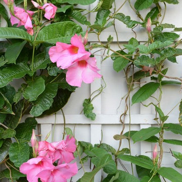 Garden Restoration