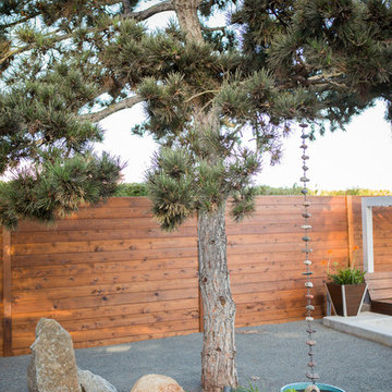 Modern Garden Design - La Jolla, CA