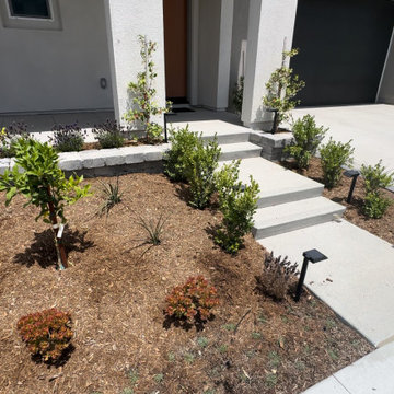 After Picture