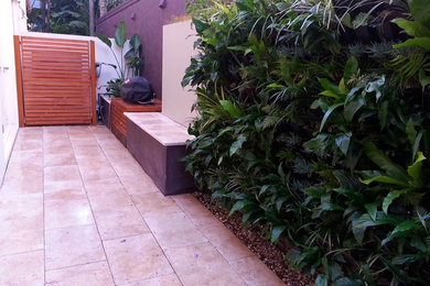 This is an example of a small contemporary courtyard shaded garden for spring in Sydney with natural stone pavers and a vertical garden.