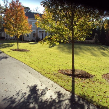 New Driveways/Hardscapes