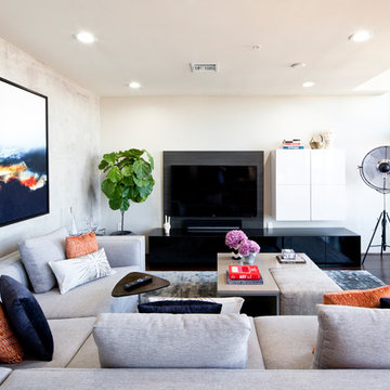 Contemporary Living Room