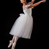 Cindy Chang's photo