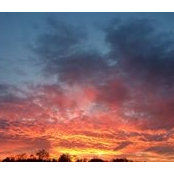 Dina Long's photo