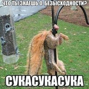 Nikolay Makarov's photo