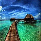Debbie Mouton's photo
