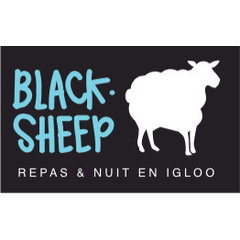 BlackSheep Igloo