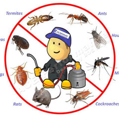 Pest Removal Geelong