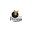 Prestige City Township