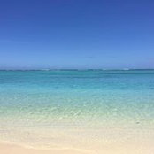Maud Wallaert's photo