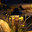 Nite Worx Of Arizona Inc