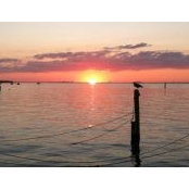 Debbie Khosla's photo