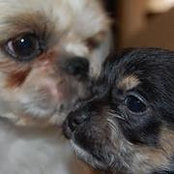 Foto de Debbie Terry
