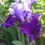 Suzanne Whyte's photo