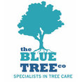 The Blue Tree Company's profile photo