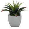 Faux Star Succulent in Tapered Zinc Pot, Silver