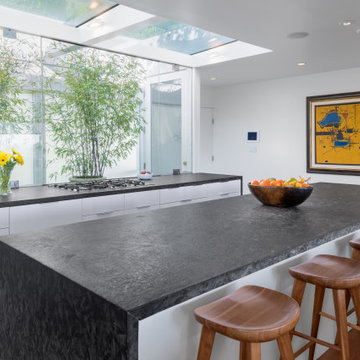 Hollywood Hills, California | Temple Hill Residence | Dimster Architecture