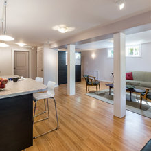 Basement remodel