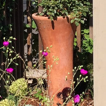 front garden