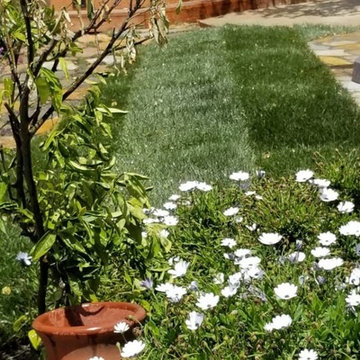 Complete Backyard Remodel - Deck