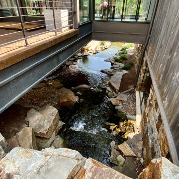 Montana Modern