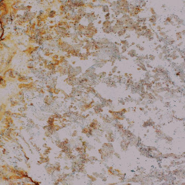Granite Slab Collection