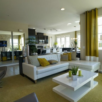 Frontier Communities Model Homes (Interior)
