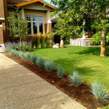 front yard