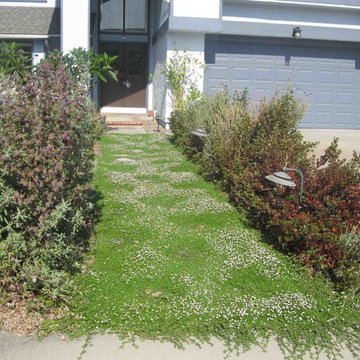 Fountain Valley Eco Yard