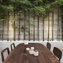 Outdoor Space