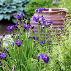 Bliss Garden Design - Bainbridge Island, WA, US on Bliss Garden Design
 id=89663