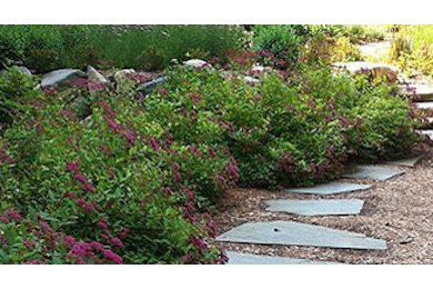 Design ideas for a mid-sized traditional side yard stone garden path in Other.