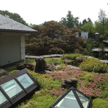 Green Roofs